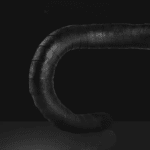 3456240562 Cropped_cleanup